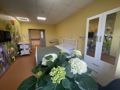 Gaiša dzemdību nodaļas palāta ar dzeltenām sienām un košu ziedu sienas gleznojumu. Istabā ir balta gulta, bērnu pārtinamais galds ar šūpuli un balts skapis ar spoguļdurvīm. Priekšplānā redzams liels hortenzijas pods ar baltiem un gaiši zaļiem ziediem.